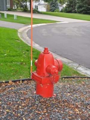 TriView® Hydrant Marker