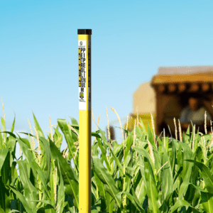 TriVew Extension Corn Field